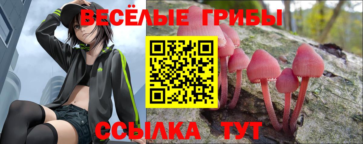 Ливны  Псилоцибиновые грибы ЛСД  Вход с VPN  Галлюциногенные грибы Cubensis 